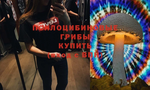 винт Бронницы