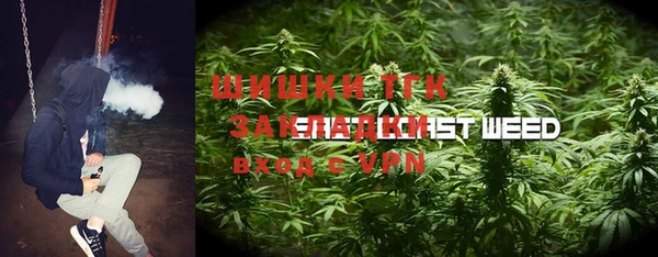 шишки Бугульма