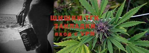 шишки Бугульма